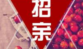 凡客科技比武招親，等你來挑戰！